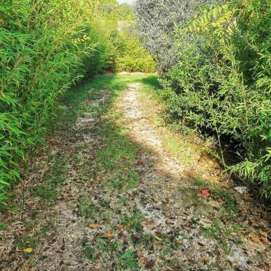  Annonces SOMMIERES : Terrain | AIGUES-VIVES (30670) | 0 m2 | 259 000 &euro; 