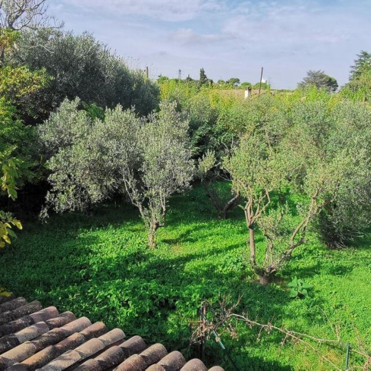  Annonces SOMMIERES : Terrain | AIGUES-VIVES (30670) | 0 m2 | 259 000 &euro; 