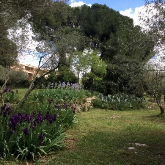  Annonces SOMMIERES : Domaines / Propriétés | SAINT-JUST (34400) | 243 m2 | 1 040 000 &euro; 
