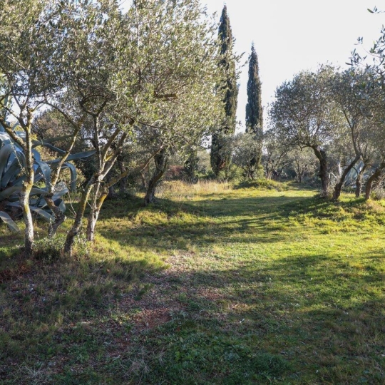  Annonces SOMMIERES : Domaines / Propriétés | SAINT-JUST (34400) | 243 m2 | 1 040 000 &euro; 