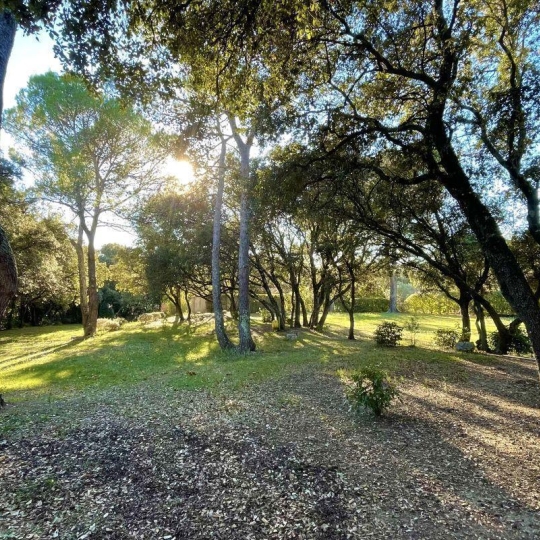  Annonces SOMMIERES : Terrain | MONTAUD (34160) | 0 m2 | 621 000 &euro; 