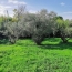 Annonces SOMMIERES : Terrain | AIGUES-VIVES (30670) | 0 m2 | 259 000 &euro; 