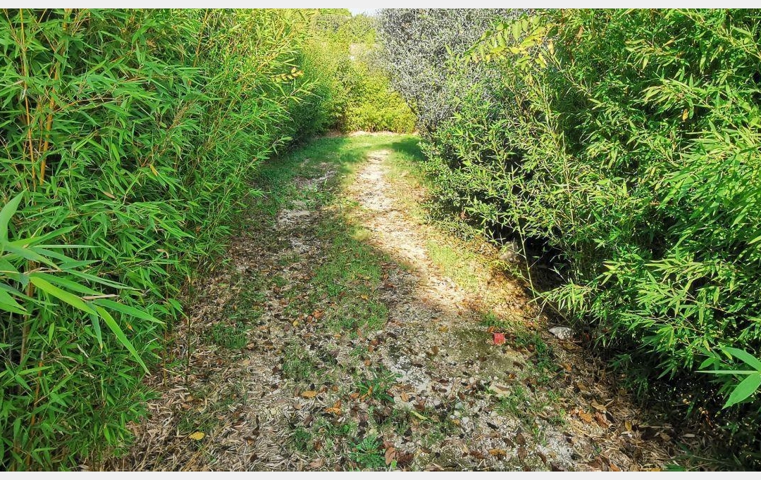 Annonces SOMMIERES : Terrain | AIGUES-VIVES (30670) | 0 m2 | 259 000 &euro; 