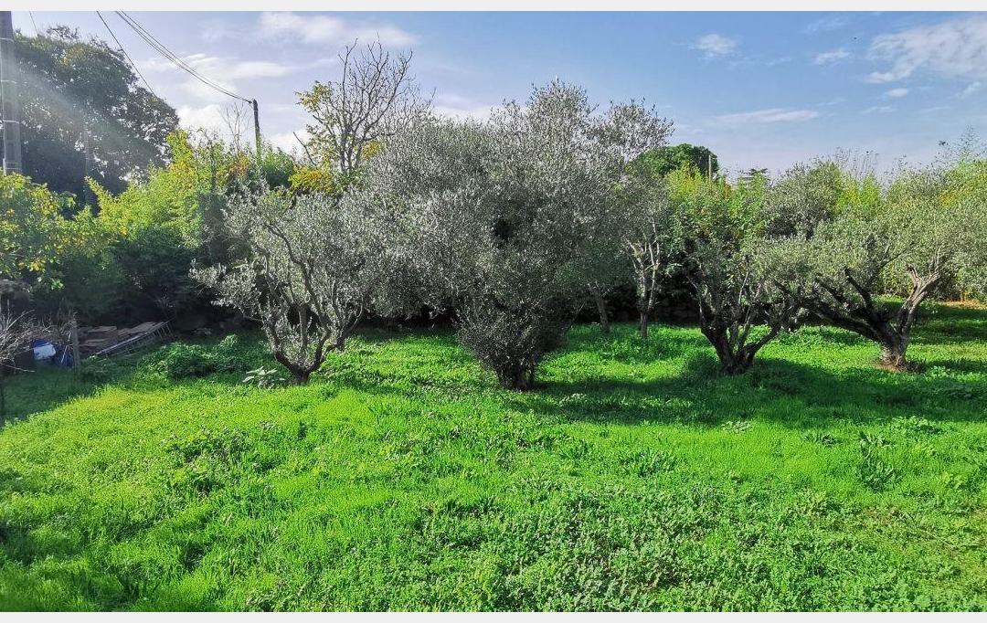 Annonces SOMMIERES : Terrain | AIGUES-VIVES (30670) | 0 m2 | 259 000 &euro; 