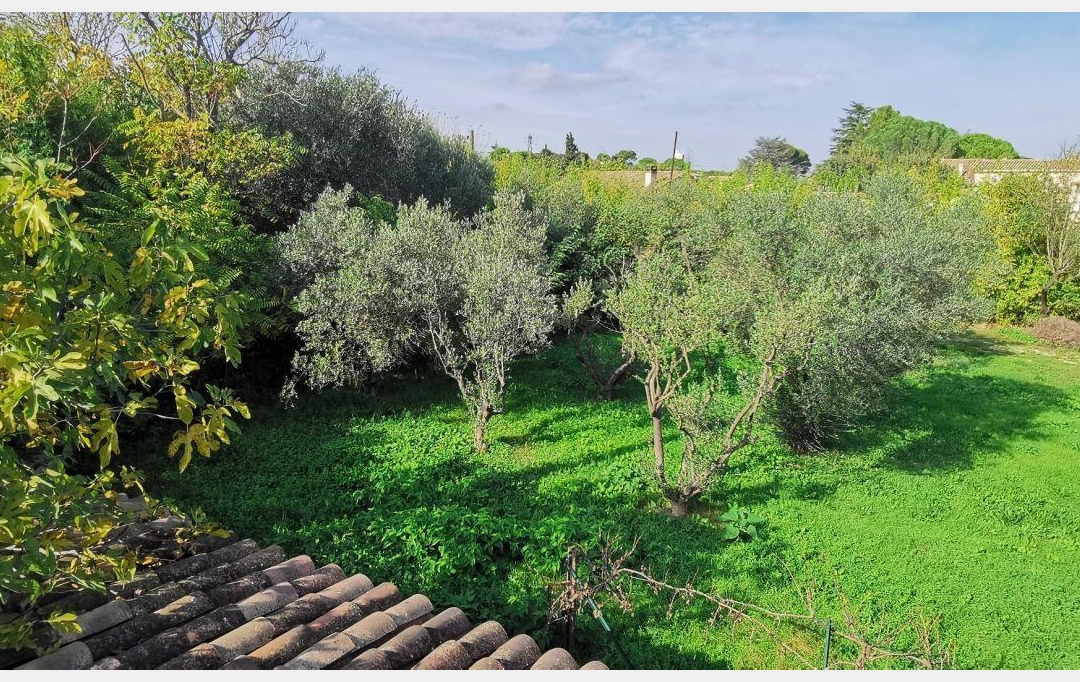Annonces SOMMIERES : Terrain | AIGUES-VIVES (30670) | 0 m2 | 259 000 &euro; 