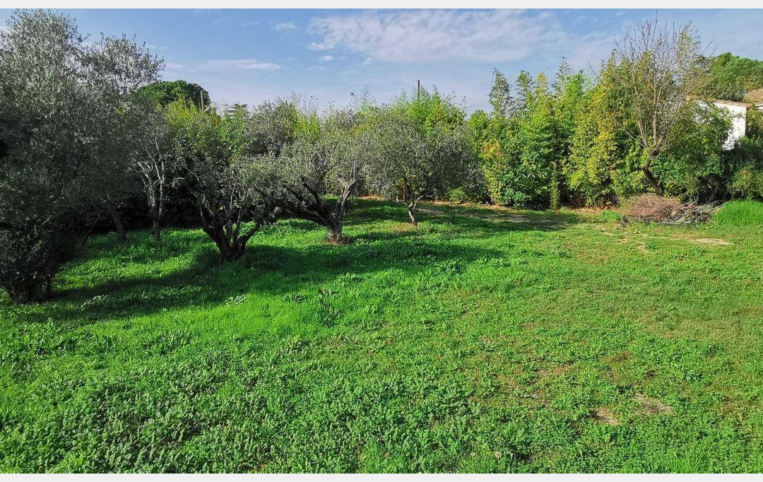 Annonces SOMMIERES : Terrain | AIGUES-VIVES (30670) | 0 m2 | 259 000 &euro; 