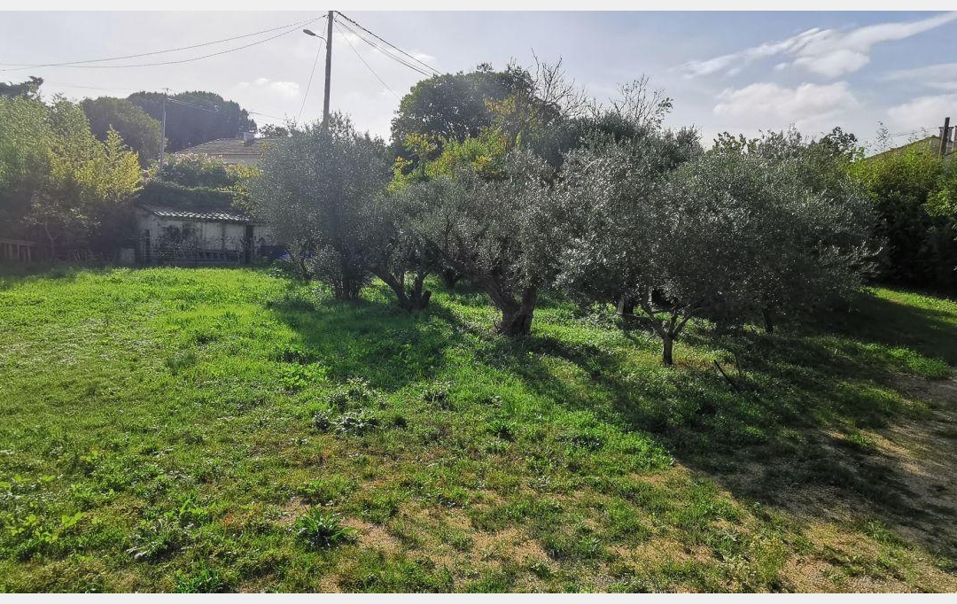 Annonces SOMMIERES : Terrain | AIGUES-VIVES (30670) | 0 m2 | 259 000 &euro; 