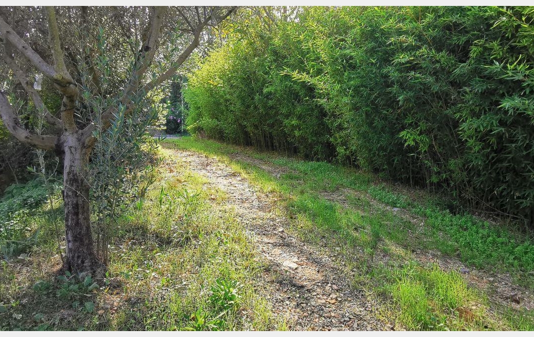 Annonces SOMMIERES : Terrain | AIGUES-VIVES (30670) | 0 m2 | 259 000 &euro; 