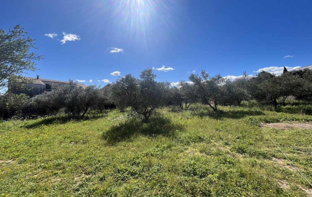 Annonces SOMMIERES : Terrain | AUBAIS (30250) | 0 m2 | 230 000 &euro; 