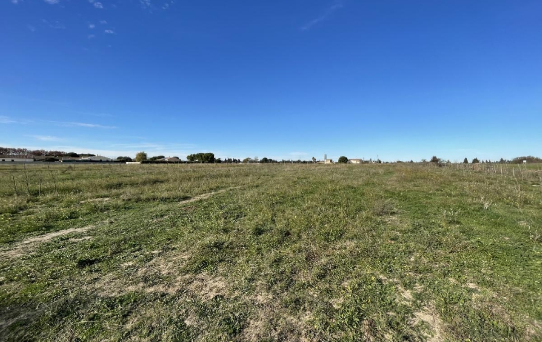 Annonces SOMMIERES : Terrain | GALLARGUES-LE-MONTUEUX (30660) | 650 m2 | 99 900 &euro; 