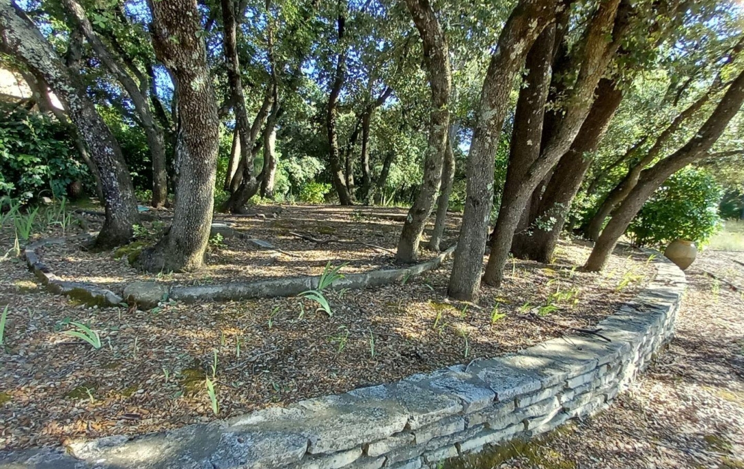 Annonces SOMMIERES : Terrain | MONTAUD (34160) | 0 m2 | 621 000 &euro; 
