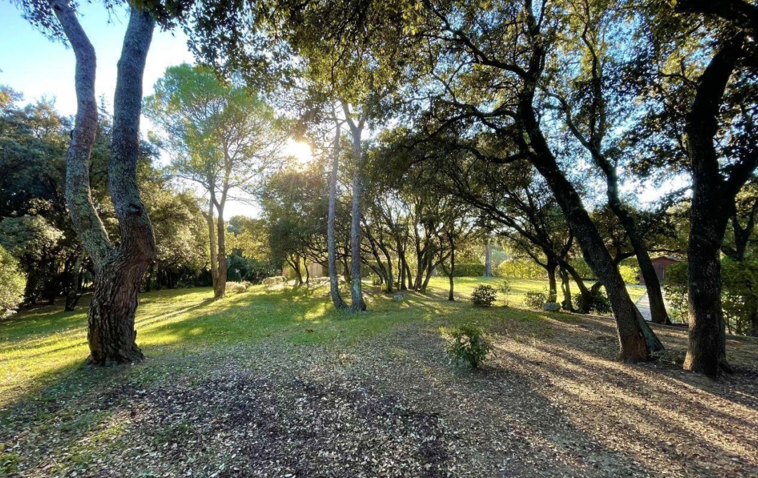 Annonces SOMMIERES : Terrain | MONTAUD (34160) | 0 m2 | 621 000 &euro; 