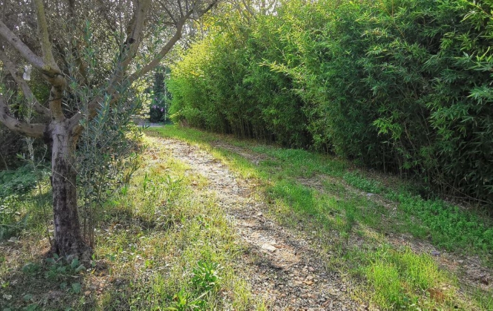 Annonces SOMMIERES : Terrain | AIGUES-VIVES (30670) | 0 m2 | 189 000 &euro; 