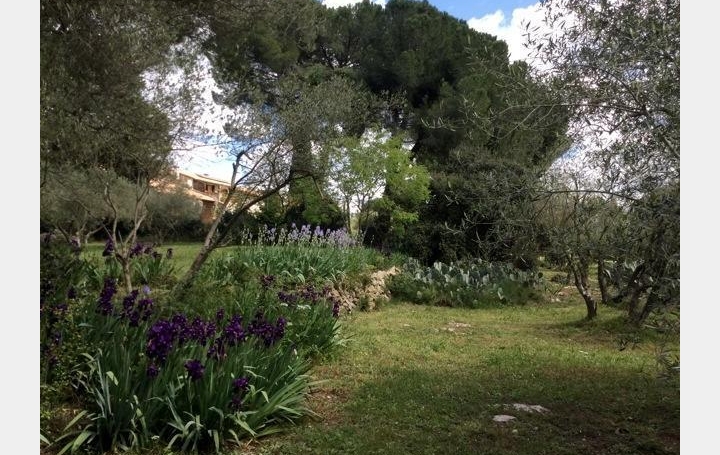 Annonces SOMMIERES : Domaines / Propriétés | SAINT-JUST (34400) | 243 m2 | 1 040 000 &euro; 