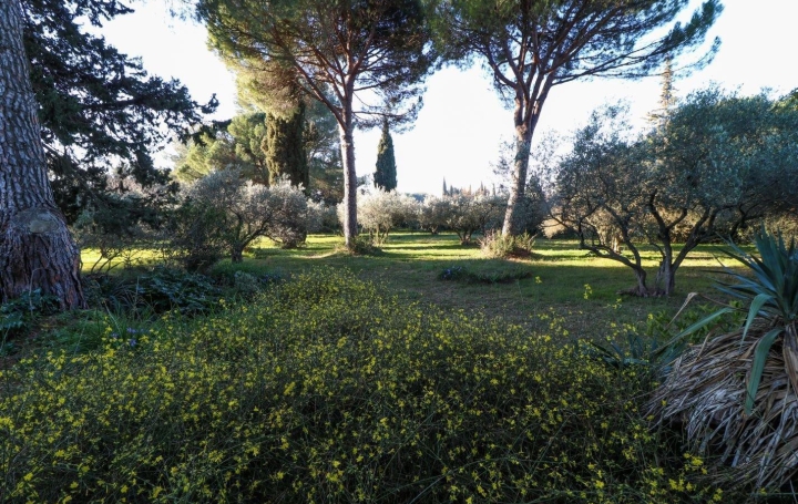 Annonces SOMMIERES : Domaines / Propriétés | SAINT-JUST (34400) | 243 m2 | 1 040 000 &euro; 